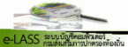 ระบบบัญชีคอมพิวเตอร์ กรมส่งเสริมปกครองส่วนท้องถิ่น E-LASS